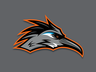 Roadrunner baseball bird mascot practice roadrunner sports