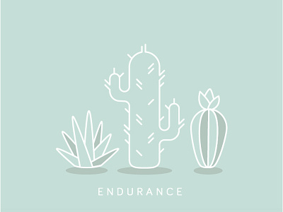Lessons from Cacti: Endurance cacti cactus illustration