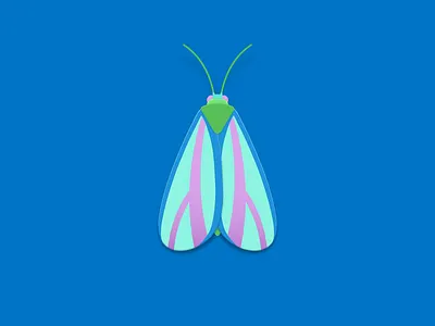 Neon painted lichen moth doodle illustration illustrator moth nature shadow wings