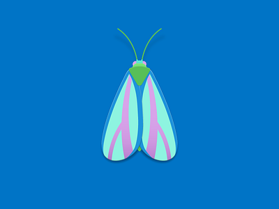 Neon painted lichen moth doodle illustration illustrator moth nature shadow wings