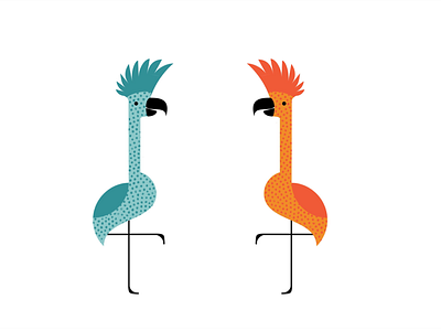 Birds of Paradise bird friend paradise