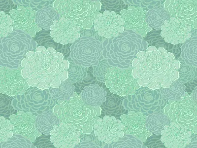 Echeveria Pattern botanical desert pattern succulents surface design
