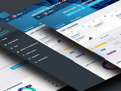 Pepsi: CRM Sales Dashboard ecommerce ipad user interface design ux
