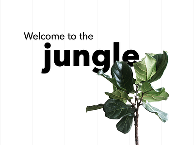 Welcome to the Jungle