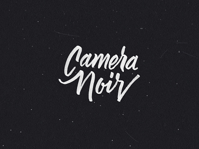 Camera Noir brand brush script lettering logo type typography