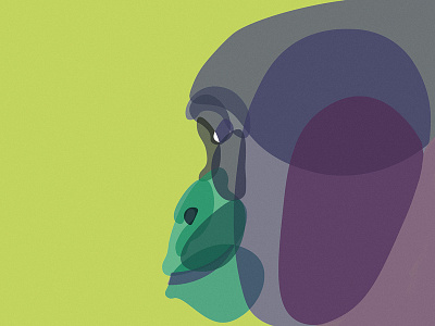 Gorilla abstract animal animals ape colorful colors gorilla illustration shapes transparency
