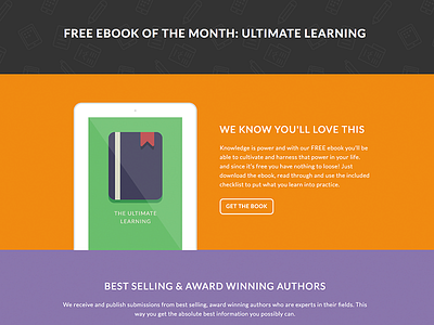 eBook Landing Page - Total WordPress Theme Demo capture page ebook flat landing page lead page splash page template theme website wordpress wp