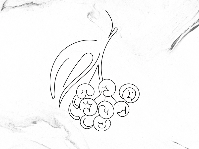 Line Illustrations and berries black illustration juice line marble on vector white work