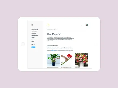 The Day Of dashboard flowers interface site ui ux website