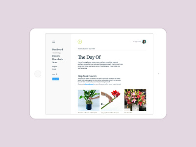 The Day Of dashboard flowers interface site ui ux website