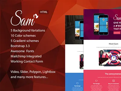 Sam - App Landing Page app app landing page landing landing page design