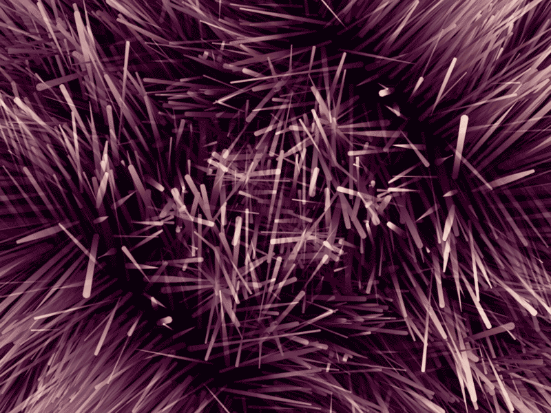 Mount Stubbs after effects cinema 4d experimental hair render twist