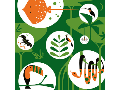 CalAcademy Rain Forest calacademy california academy of sciences environment illustration illustrator nature rain forest vector