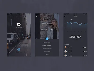 Aircraft center personal ui wallet