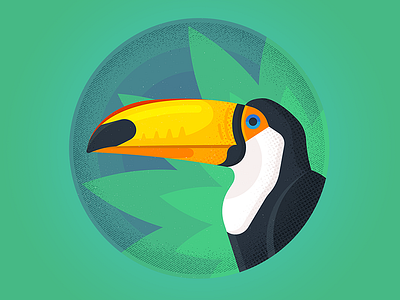 Tucan character design enisaurus freelance hire icon illustration london vector