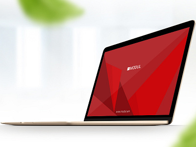 Modul armenia brandbook identity interface logo logotype modul poster print publishing sargsyan yerevan