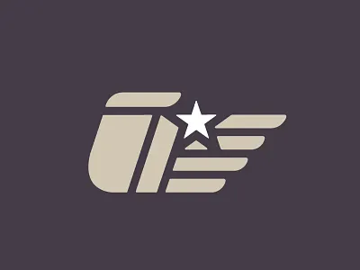 Hand branding hand logo star