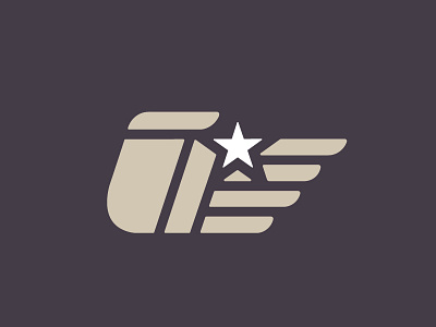 Hand branding hand logo star