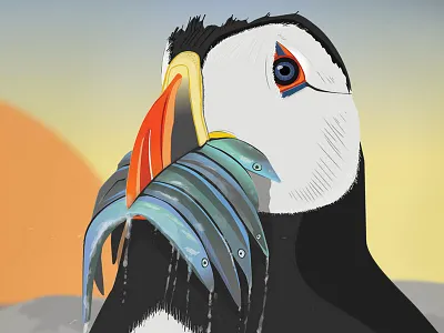 Puffin Illustration apple pencil atlantic bird depth of field illustrator mographmentor painterly puffin wildlife