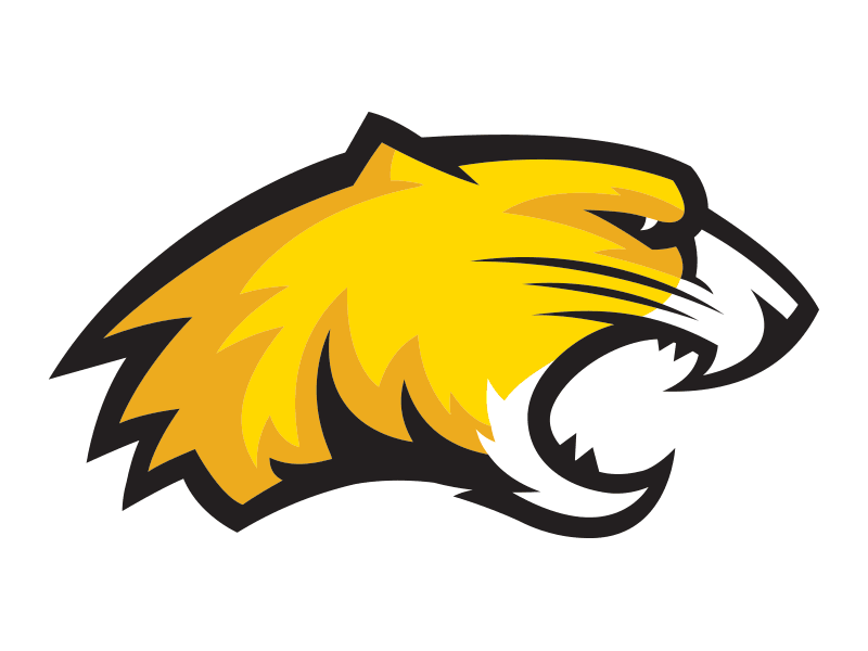 Cougar Mascot cat cougar mascot sport team