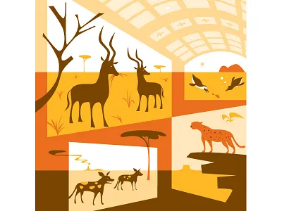 CalAcademy Africa Hall africa calacademy california academy of sciences environment illustration illustrator nature vector