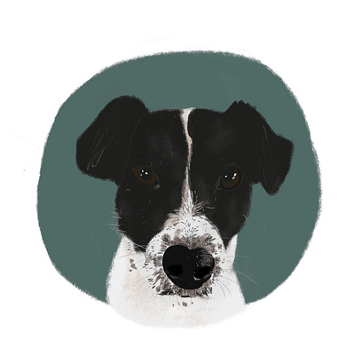 Gordo <3 animallover art digitalart dog dogportrait illustrationdog petlover petportrait