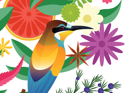 European Bee Eater bee bird colour fruit illustration ingridients