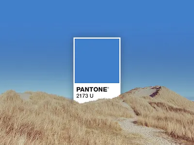 PANTONE 2173 U card color color scheme colour design pantone photo photography stock