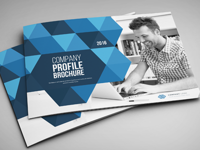 Company Profile Brochure annual annual report blue brochure business business brochure corporate