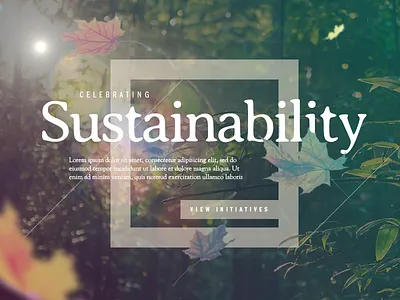 Celebrating Sustainability forest landingpage leaves lensflare nature parallax rural sustainability ui ux web woods