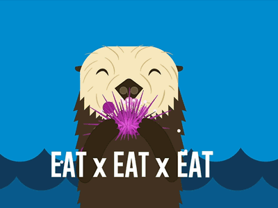 Sea Otter Preroll animation after effects animal animation cartoon flat gif illustration minimal motion graphics vector