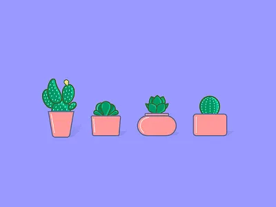 Succulent Family cactus flat flowers garden icons nature plant pot succulent trees vecrot