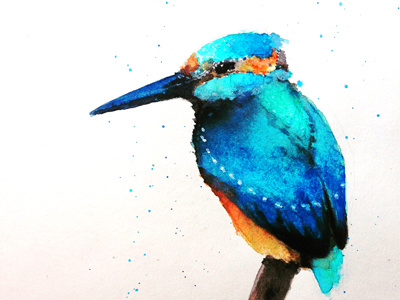 watercolour experiments art bird watercolour