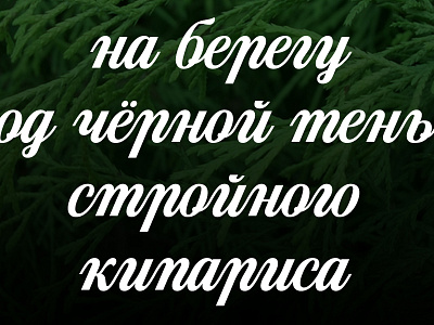 Cupressus lettering letters script type typography