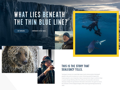 Sealegacy - Website Concept design natgeo ux website