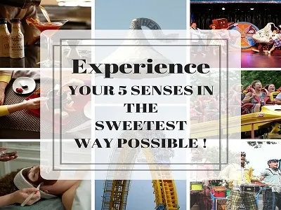 5 Senses Blog blogging graphics photography