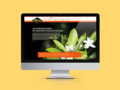 Agrumes du Maroc - Identity and web design agrumes design fresh fruits history identity maroc morocco web
