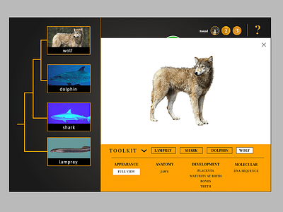 All In The Family Evolution Game Interface education interactive ui web