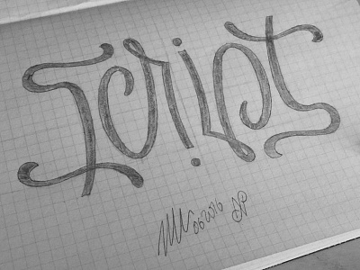 Script Ambigram ambigram font hand lettering lettering script type typography