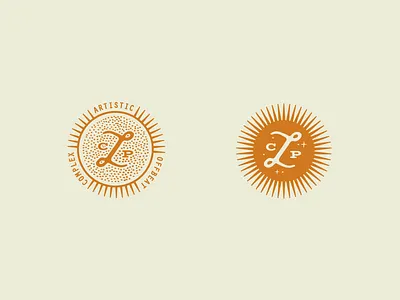 Cindy Lee Photography / brand icons artistic brand icon branding complex handdrawn icons identity letterform mystical offbeat photographer sunburst