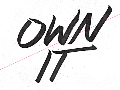 Own It brush pen grunge hand hand written own it spatter type typography