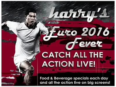 Euro Cup teaser euro2016 fifa football soccer