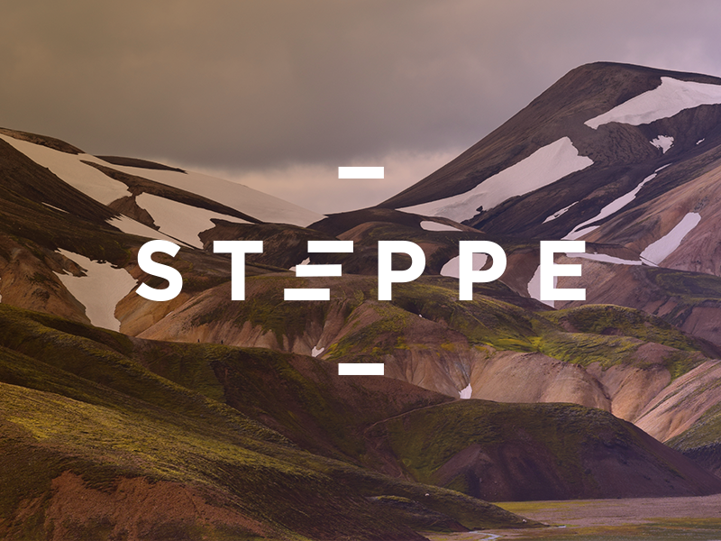 Example of Bold Typographic Logo Design