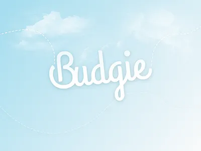 Let's fly! bird blue branding budgie fly logo wordmark