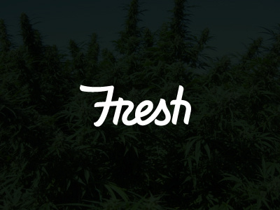 Fresh White branding custom type fresh hand style lettering paul amerson streetwear typography