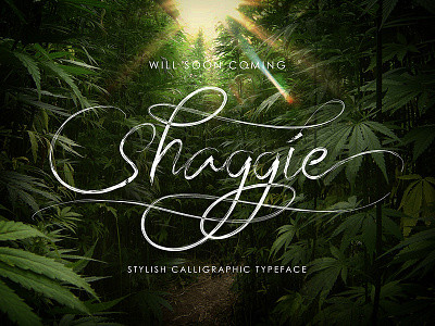 Shaggi typeface - WIP amazing brush curved imperfect swashes unique vintage