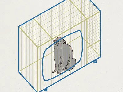 Monkeybox illustration concept illustration minimalism modern monkey tv vector