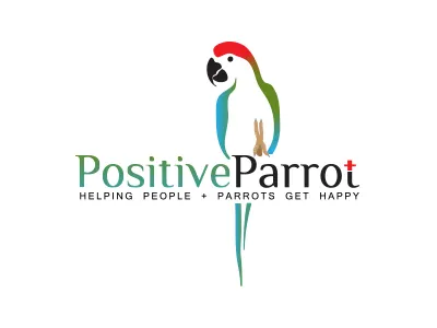 Positive Parrot bird colors parrot pet singing