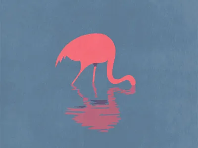 Flamingo animal flamingo illustration