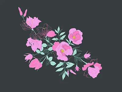 Flowers flower illustration lily rose vector
